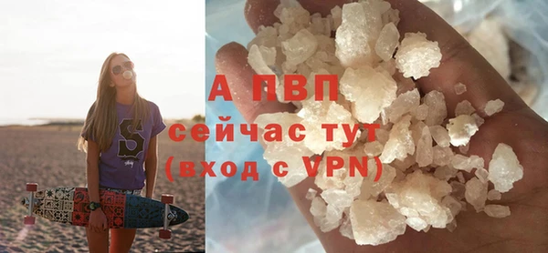 скорость Новозыбков