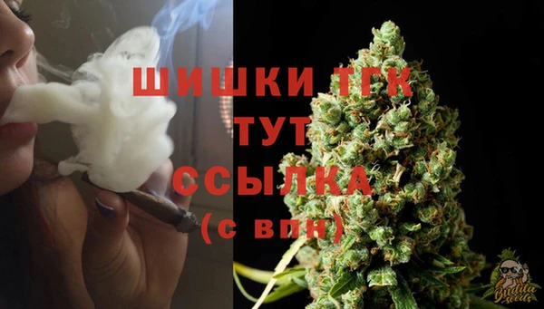 скорость Новозыбков