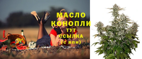 шишки Апатиты
