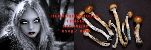 скорость Новозыбков