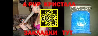 стаф Тверь