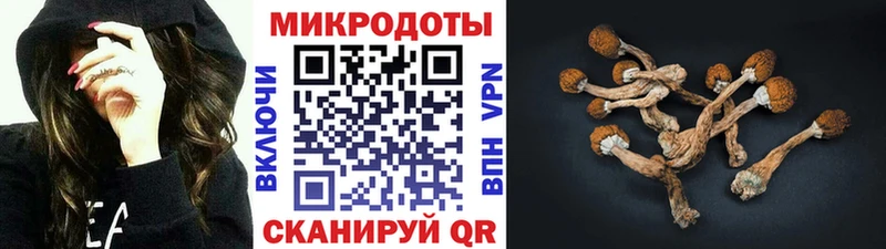 Псилоцибиновые грибы прущие грибы  Краснодар 