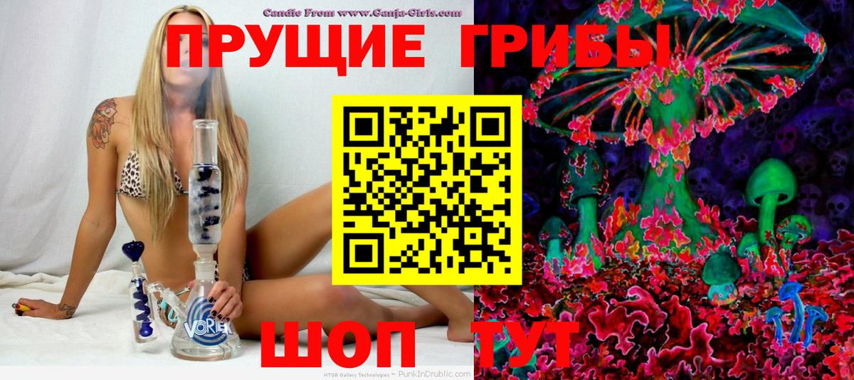 Псилоцибиновые грибы Psilocybe Краснодар